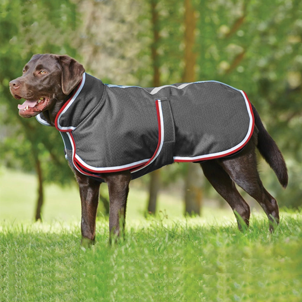 Waterproof Leisure Dog Jacket – Warm Polyester Coat for Large Dogs (L–XXXXL)