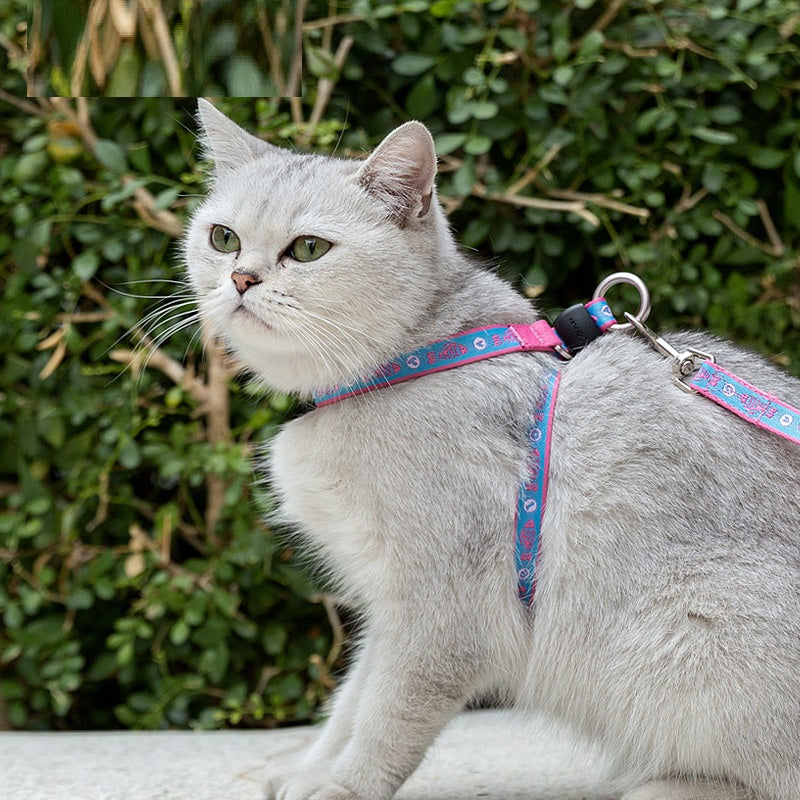 Cat & Small Dog Chest Harness with Bell – Polyester Mesh Leash Set in 5 Colors (S–L)