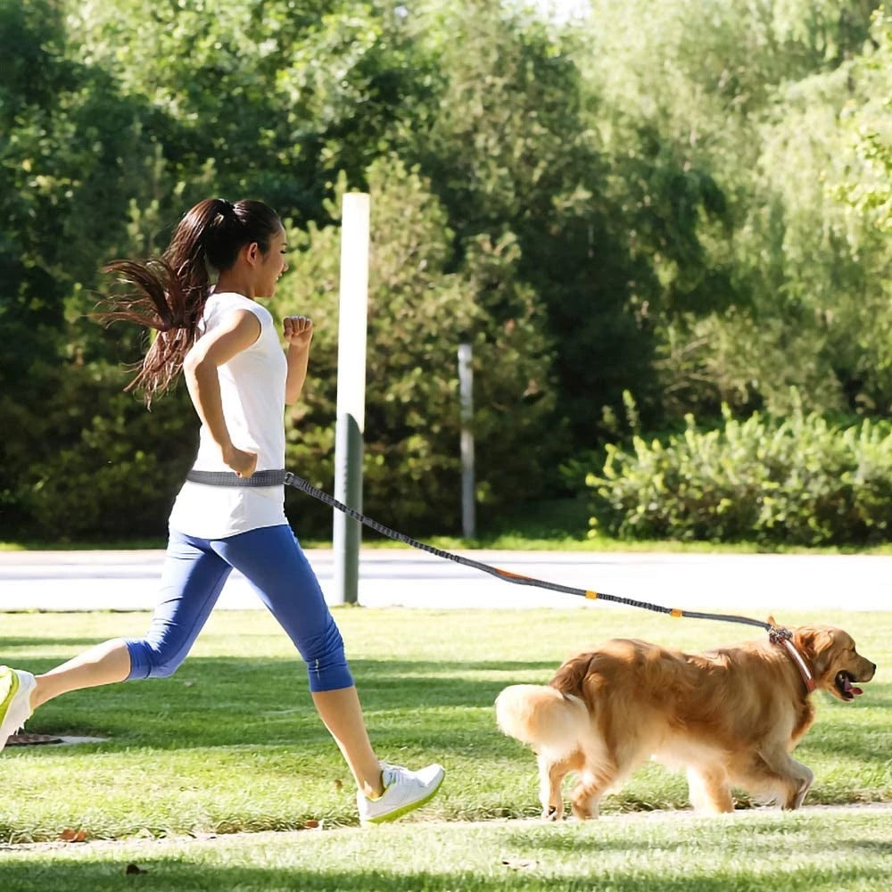 Adjustable Nylon Jogging Dog Leash – Hands-Free Running Harness in 3 Colors
