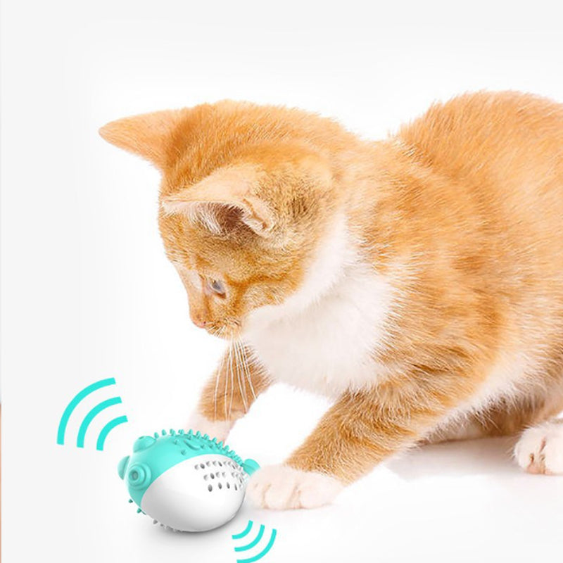 Mint Silicone Cat Chew and Teaser Toy for Cats and Kittens