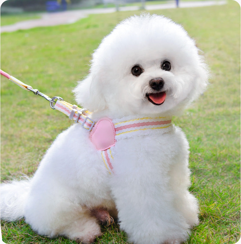 Breathable Summer Dog Harness & Leash Set – Mesh Vest for Small & Medium Dogs (S–L)