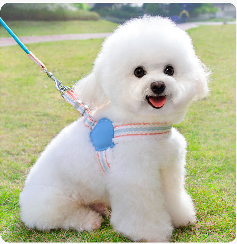 Breathable Summer Dog Harness & Leash Set – Mesh Vest for Small & Medium Dogs (S–L)