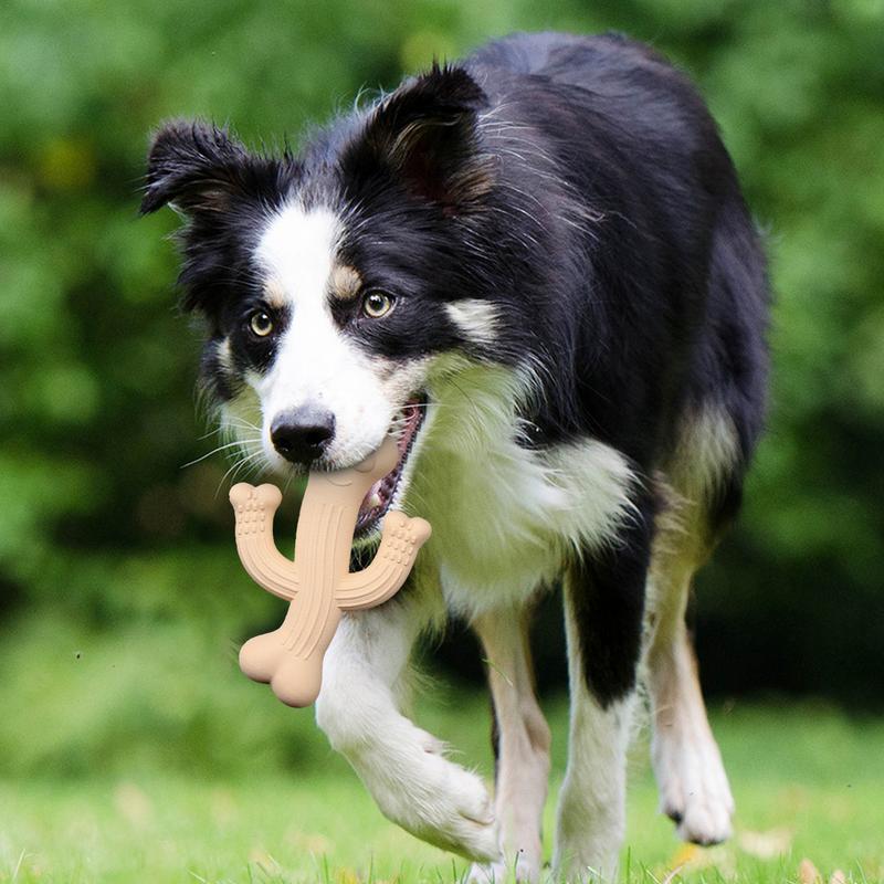 Cactus Chew Toy Ultra Durable Interactive Dog Toy