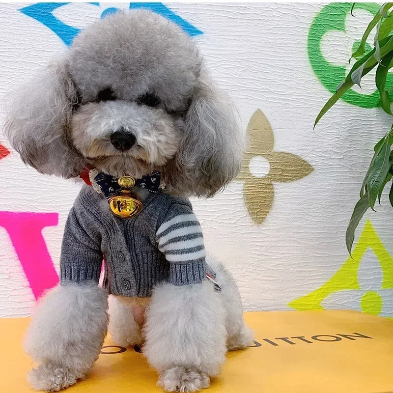 Gray Angora Cardigan Dog Sweater – Soft Fluffy Knit (XS–XXL)