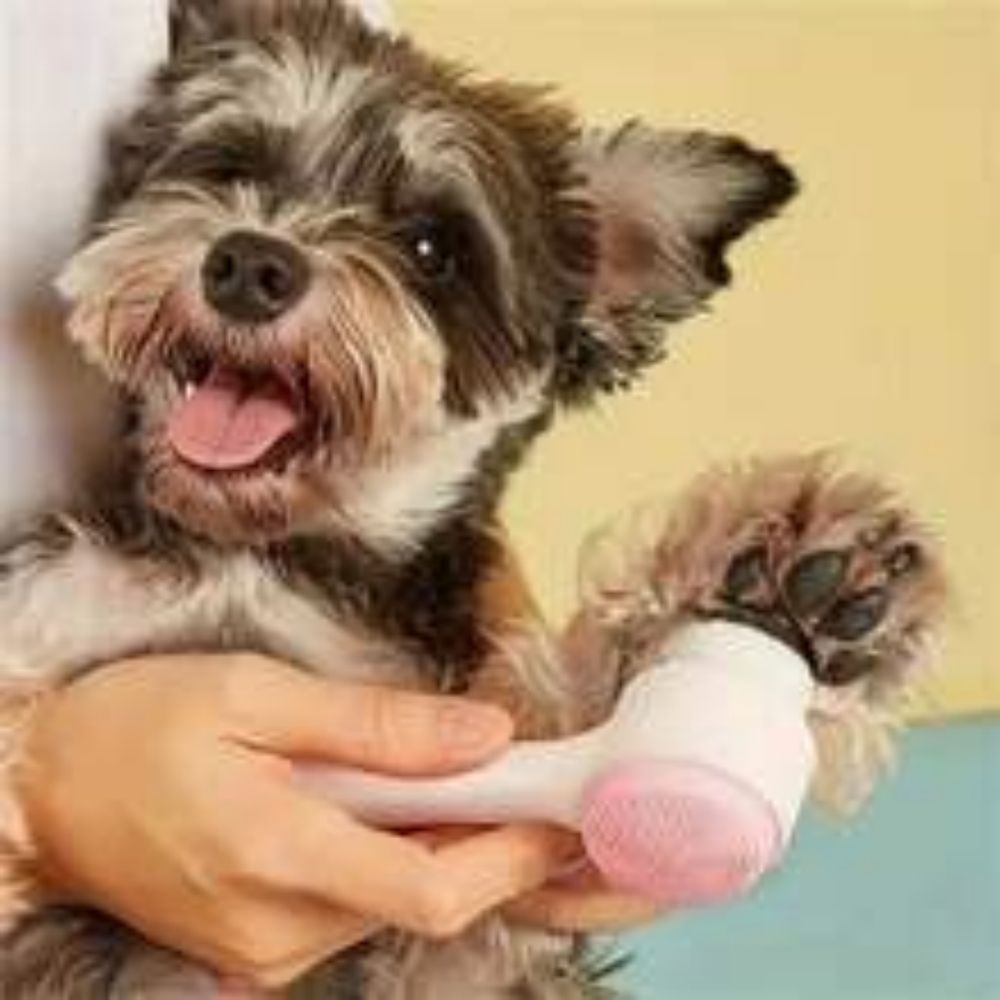 Nylon Pet Paw Brush Gentle Grooming and Massage Tool for Dogs and Cats