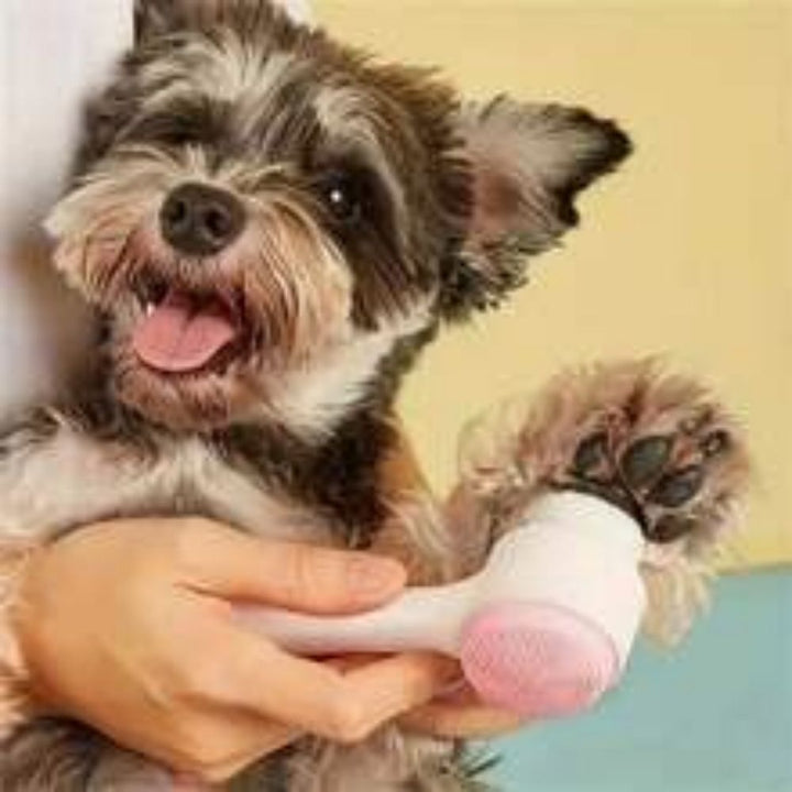 Nylon Pet Paw Brush Gentle Grooming and Massage Tool for Dogs and Cats