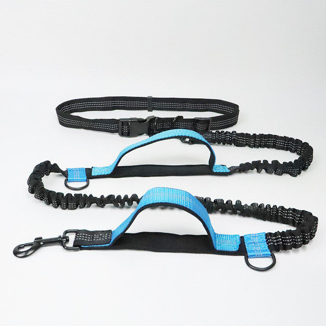 Adjustable Nylon Jogging Dog Leash – Hands-Free Running Harness in 3 Colors