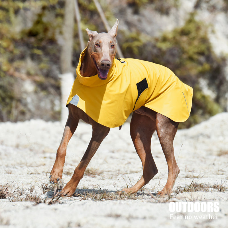 Waterproof Dog Raincoat – Windproof Shell Jacket in Orange & Yellow (XS–XXXL)