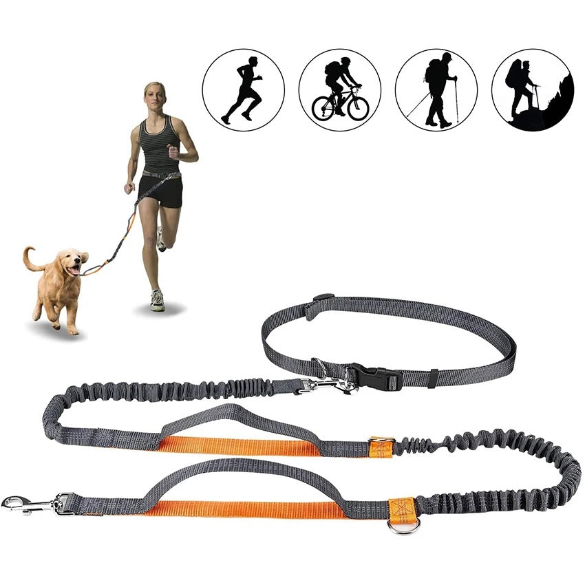 Adjustable Nylon Jogging Dog Leash – Hands-Free Running Harness in 3 Colors