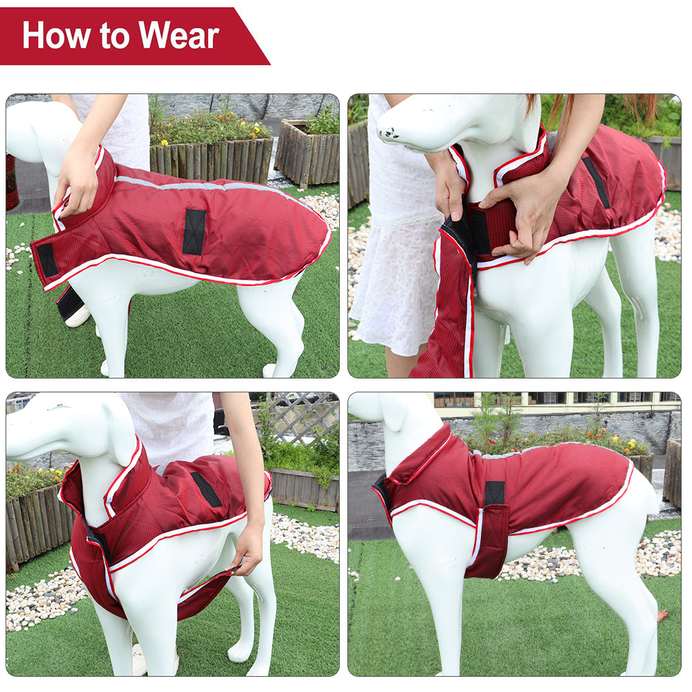 Waterproof Leisure Dog Jacket – Warm Polyester Coat for Large Dogs (L–XXXXL)