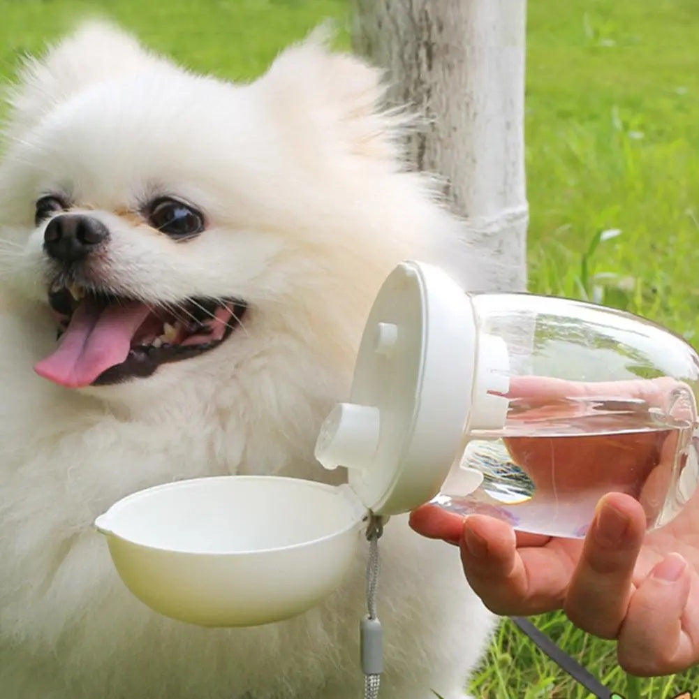 Portable Pet Water Bottle with Lanyard for Cats and Dogs