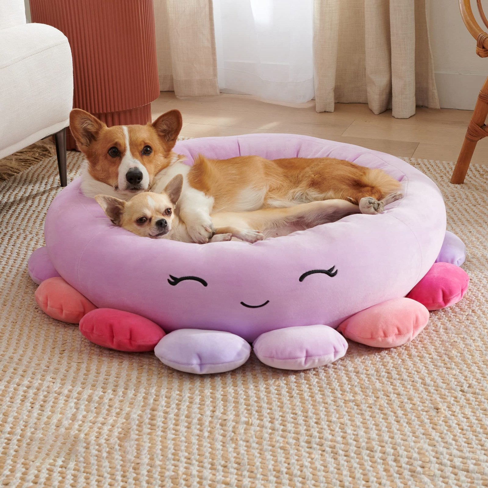 Novelty Animal & Fruit Print Dog Bed – Super Soft Plush Cushion (26 in)