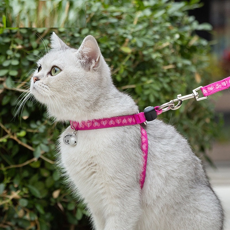 Cat & Small Dog Chest Harness with Bell – Polyester Mesh Leash Set in 5 Colors (S–L)