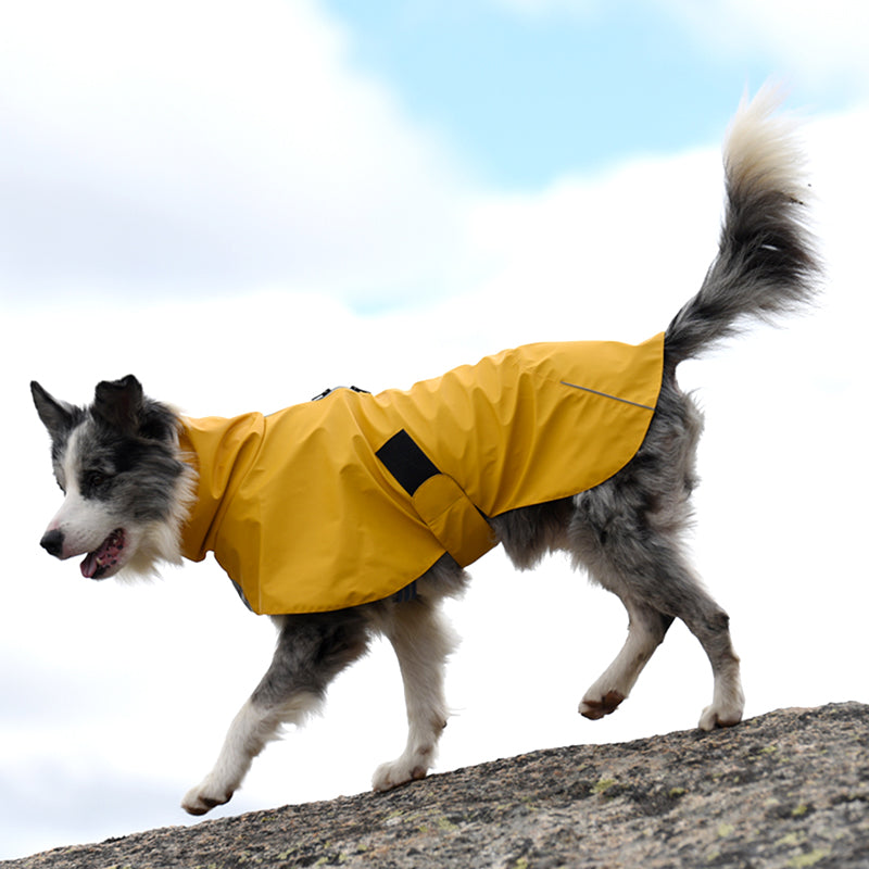 Waterproof Dog Raincoat – Windproof Shell Jacket in Orange & Yellow (XS–XXXL)