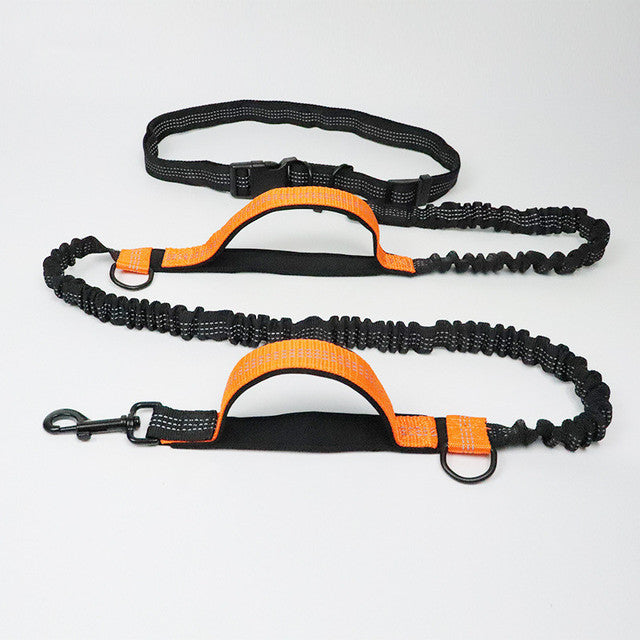 Adjustable Nylon Jogging Dog Leash – Hands-Free Running Harness in 3 Colors