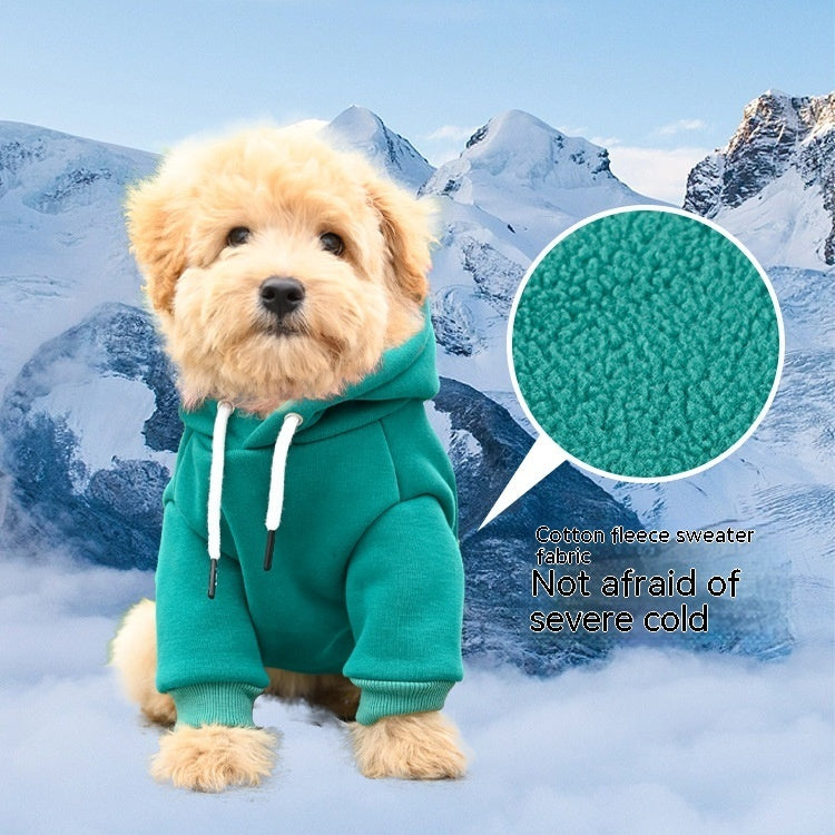 Hooded Dog Sweater – Casual Cotton Pullover in 4 Colors (S–XL)